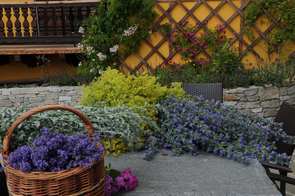 Sulamith Ferienhaus Mit Garten Sankt Kathrein am Offenegg Luaran gambar