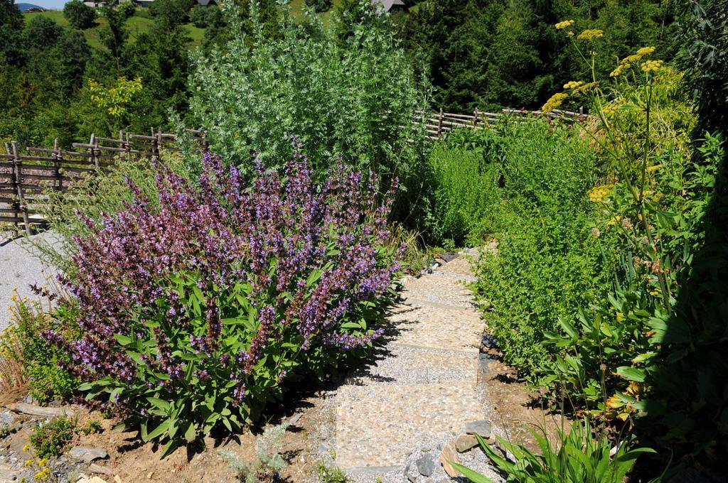 Sulamith Ferienhaus Mit Garten Sankt Kathrein am Offenegg Luaran gambar