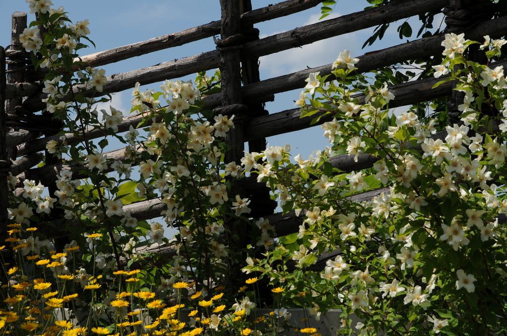 Sulamith Ferienhaus Mit Garten Sankt Kathrein am Offenegg Luaran gambar
