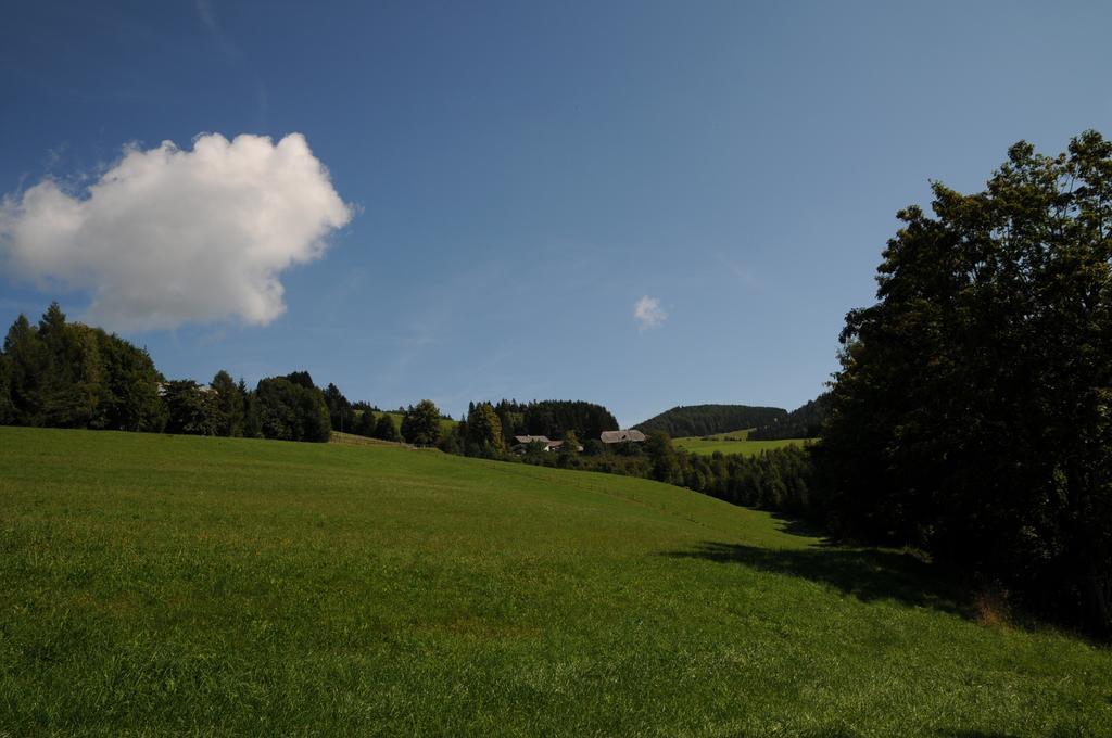 Sulamith Ferienhaus Mit Garten Sankt Kathrein am Offenegg Luaran gambar